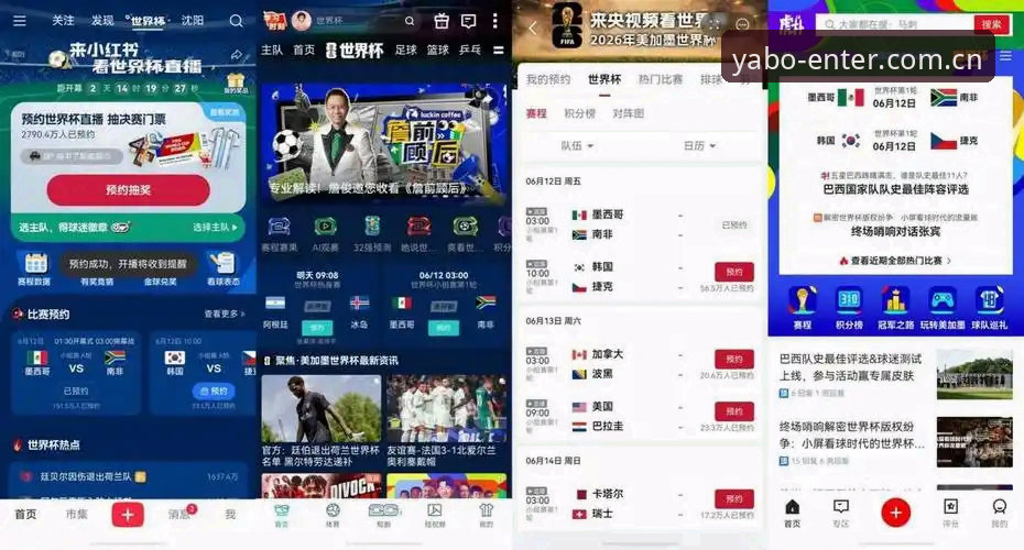 世界杯观赛受阻？亚博体育平台新手必备实用指南，带你了解赛事背后的签证困局